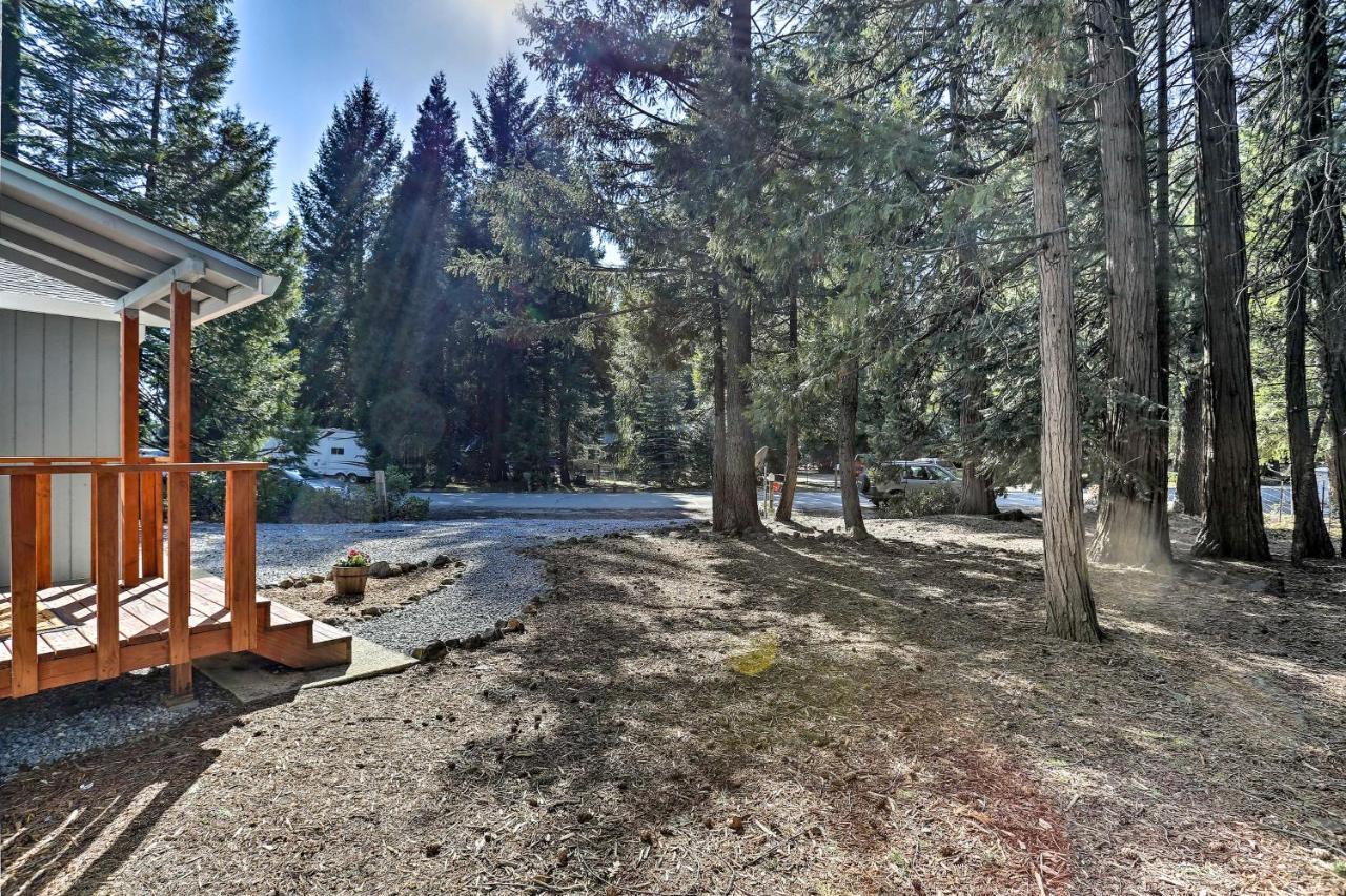Base Camp Lassen Home 13 Mi To Volcanic Natl Park Shingletown Eksteriør billede