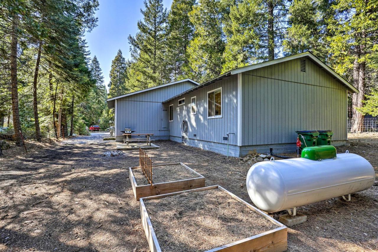 Base Camp Lassen Home 13 Mi To Volcanic Natl Park Shingletown Eksteriør billede